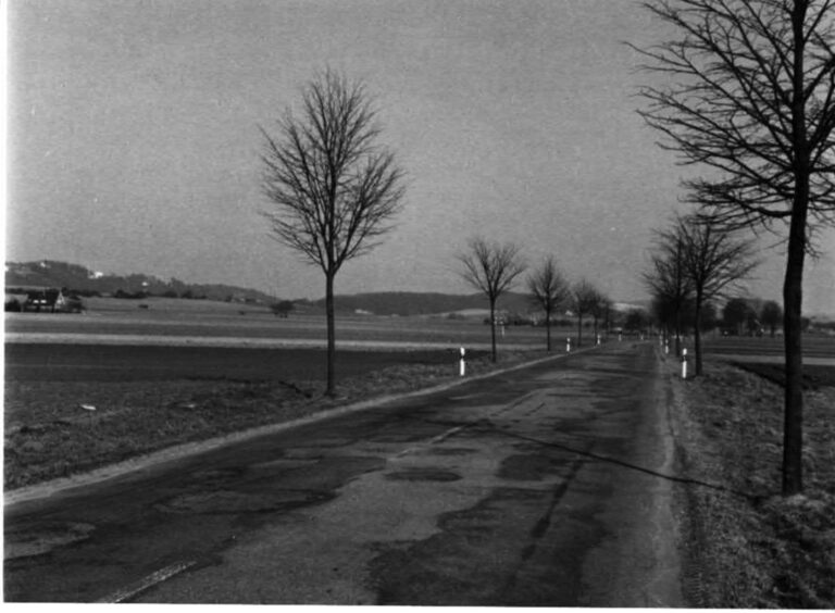 Lutgenau 5